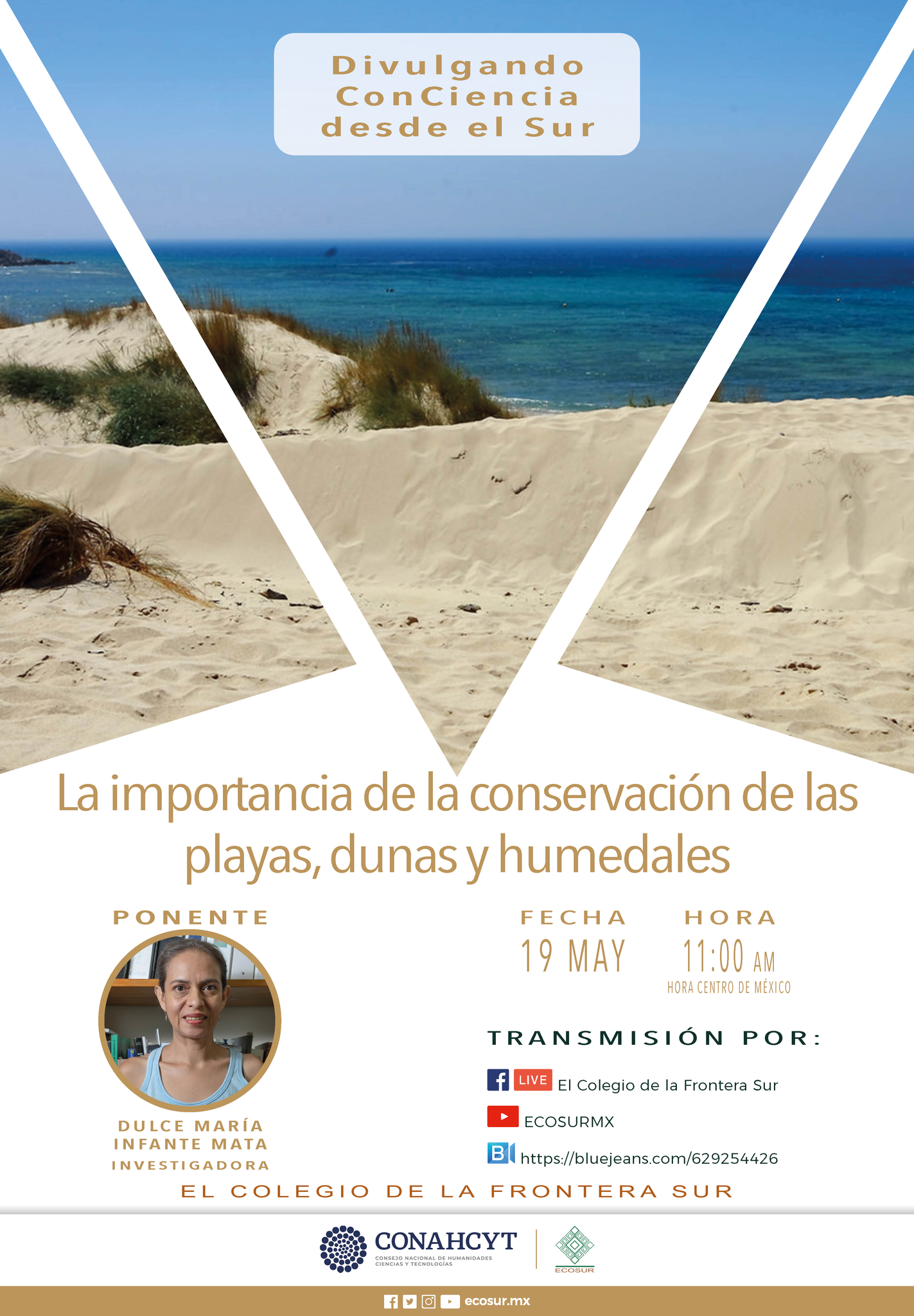 La importancia de la conservación de las playas, dunas y humedales