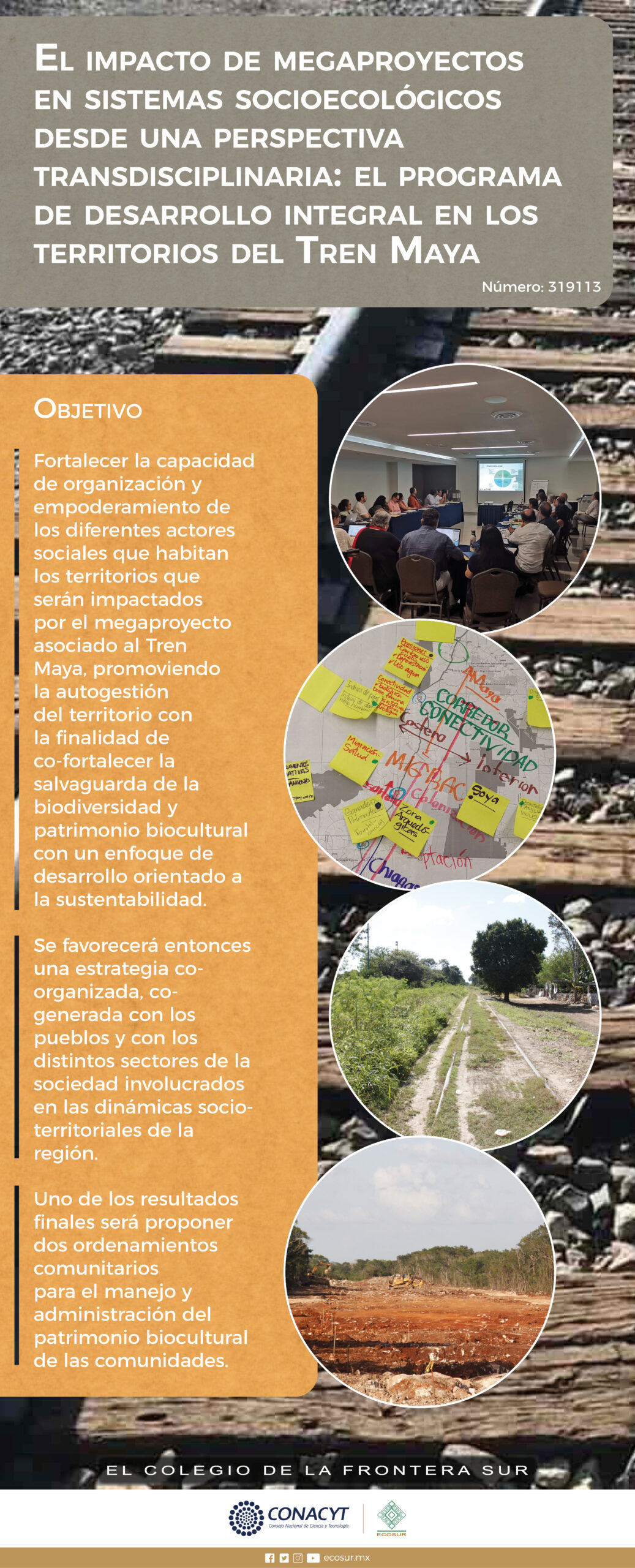 El impacto de megaproyectos en sistemas socioecológicos desde una perspectiva transdisciplinaria: El programa de desarrollo integral en los territorios del Tren Maya.