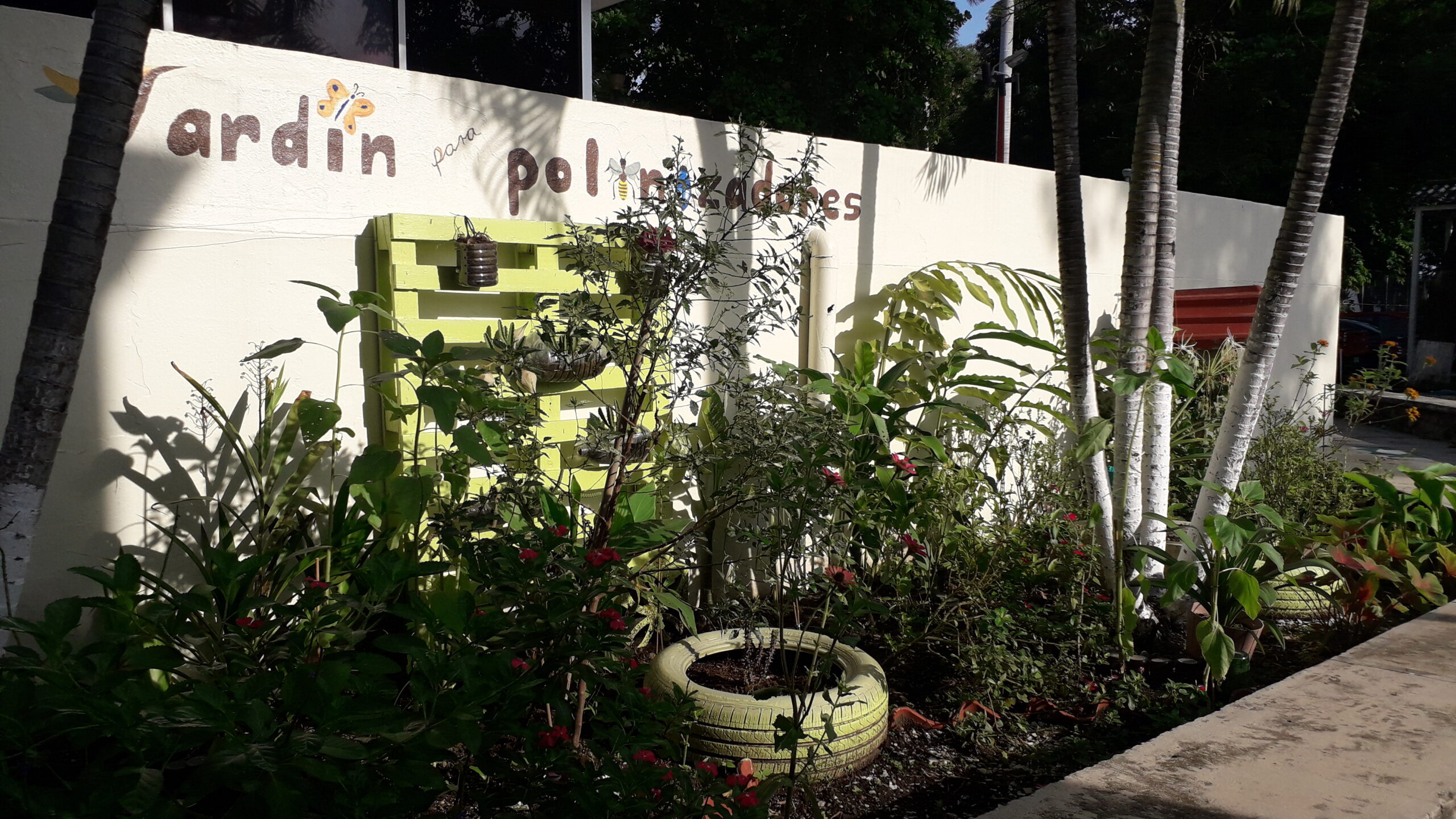 Recibe reconocimiento el jardín de polinizadores de la Unidad Tapachula