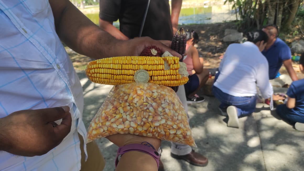 Celebran la Primera Feria de Semillas en Espita, Yucatán