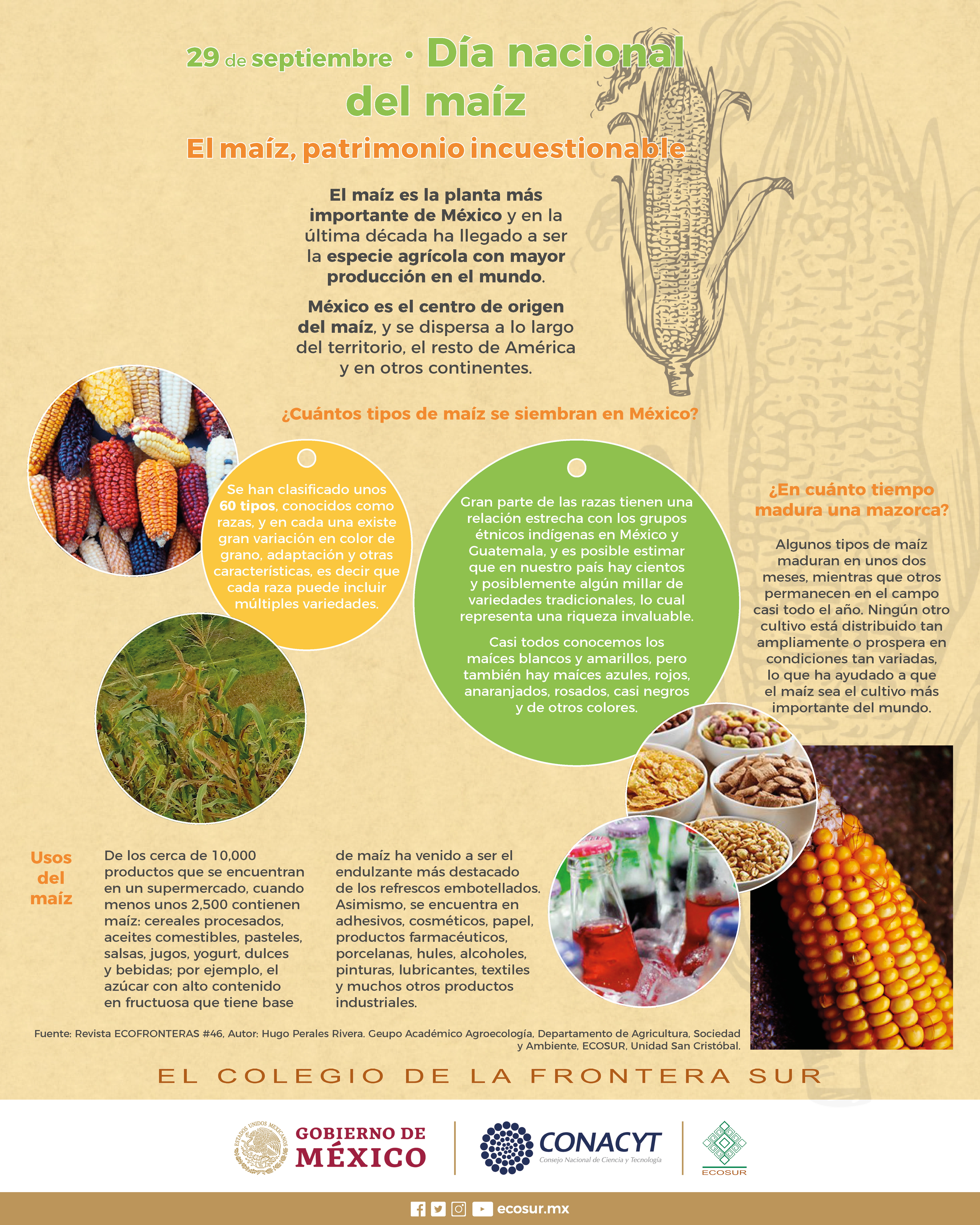 29 de septiembre día nacional del maiz