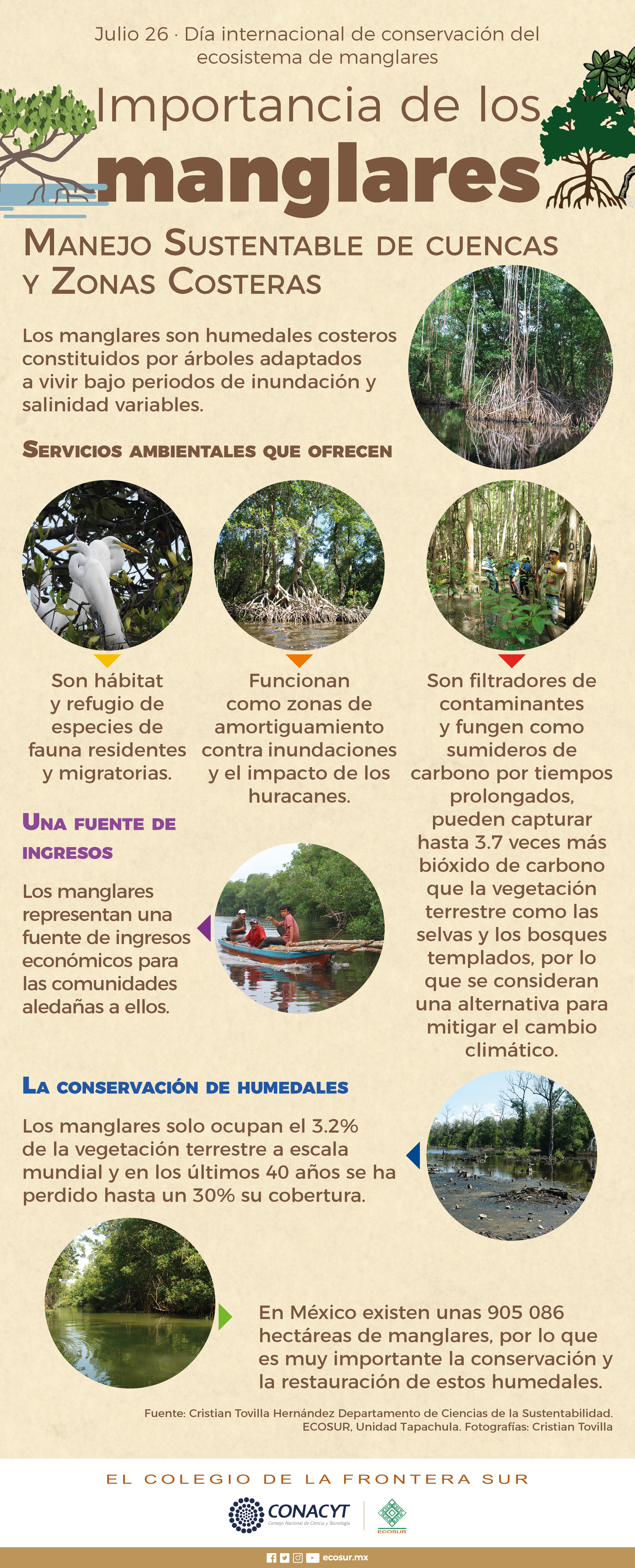 Julio 26 día internacional de conservación, del ecosistema de manglares