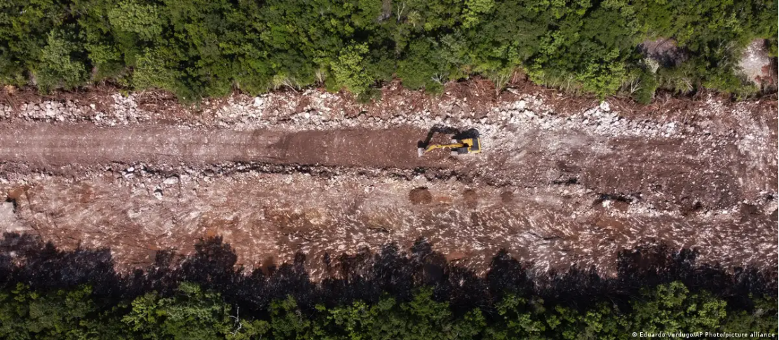 Deforestación en México, “receta perfecta para el desastre”