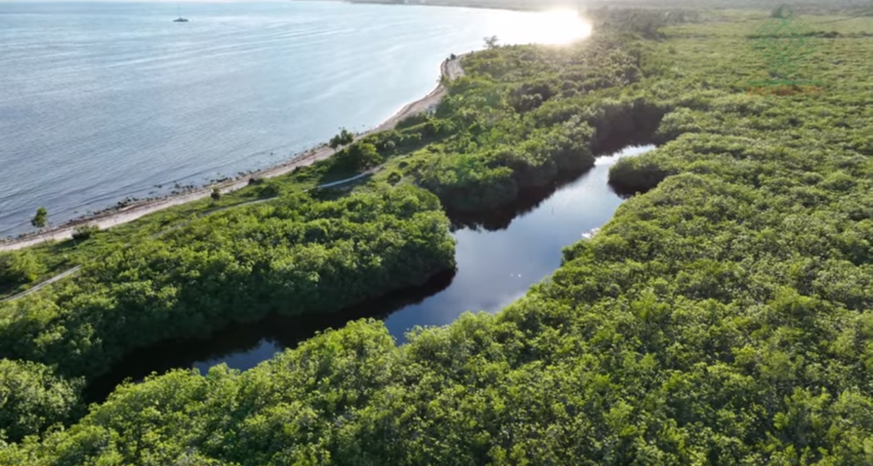 De la selva al arrecife, conectividad ecosistémica