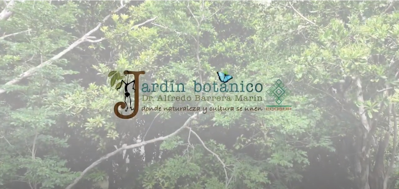 El Jardín Botánico “Dr. Alfredo Barrera Marin”