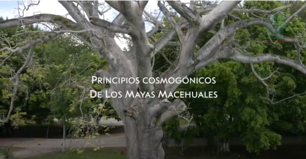 Principios cosmogónicos de los mayas macehuales