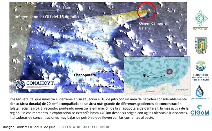 Monitorean la presencia de petróleo en superficie del mar