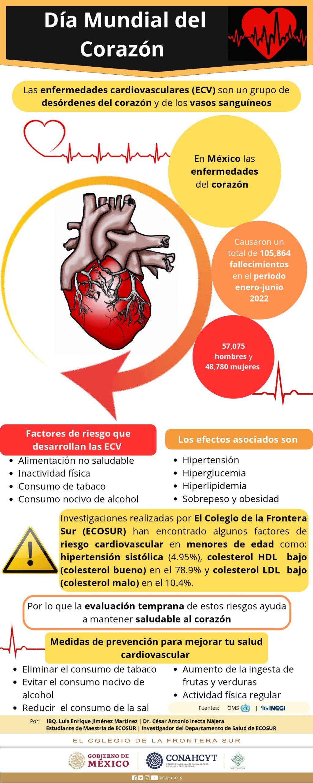 Día mundial del Corazón