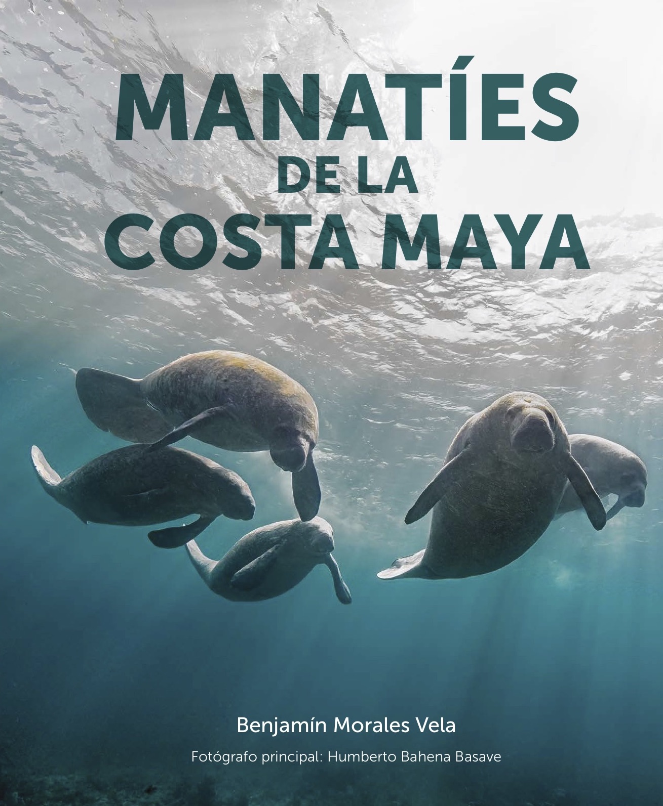 Libro: Manatíes de la costa maya