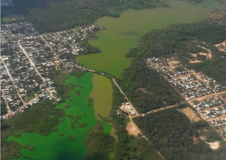 Arranca plan de conservación de la sabana de Chetumal