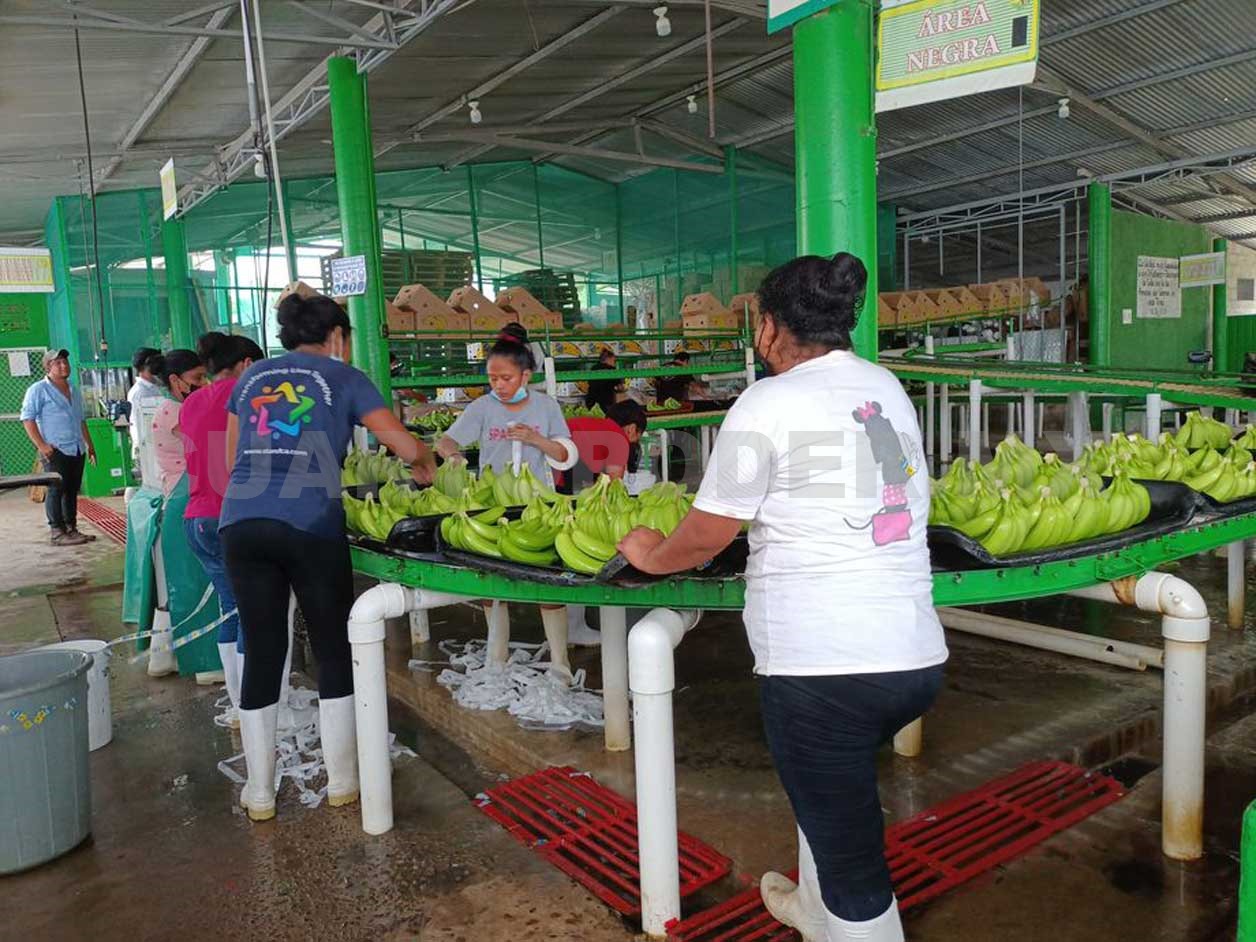 Visibilizan importancia de mujeres rurales