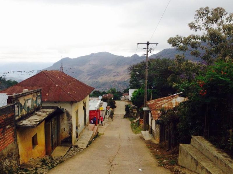 Desplazamiento forzado en Chiapas / Entrevista a Carla Zamora