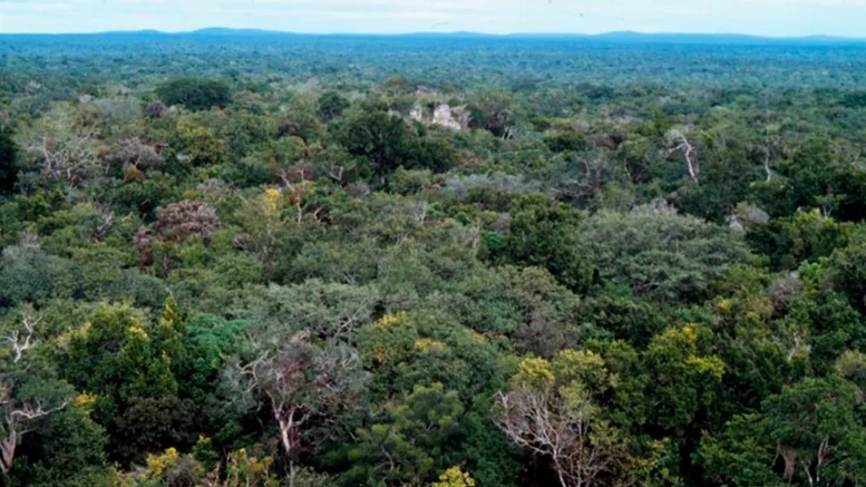 Cambio climático amenaza a Campeche