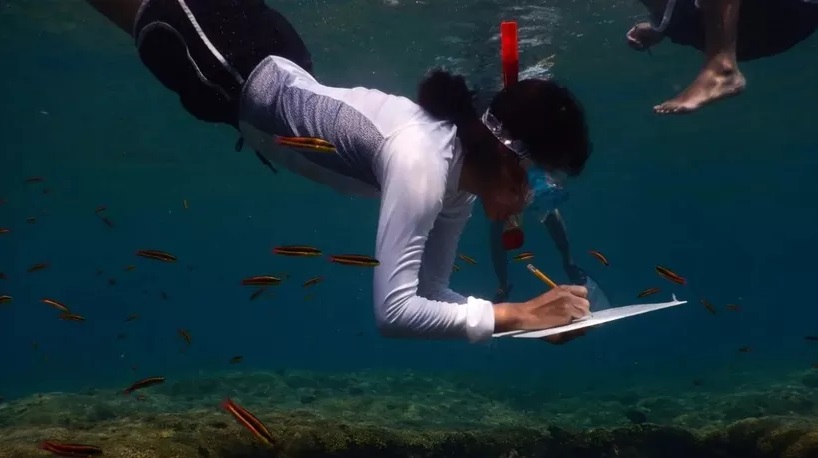 Identifican a peces en la Laguna Chile Verde de Quintana Roo