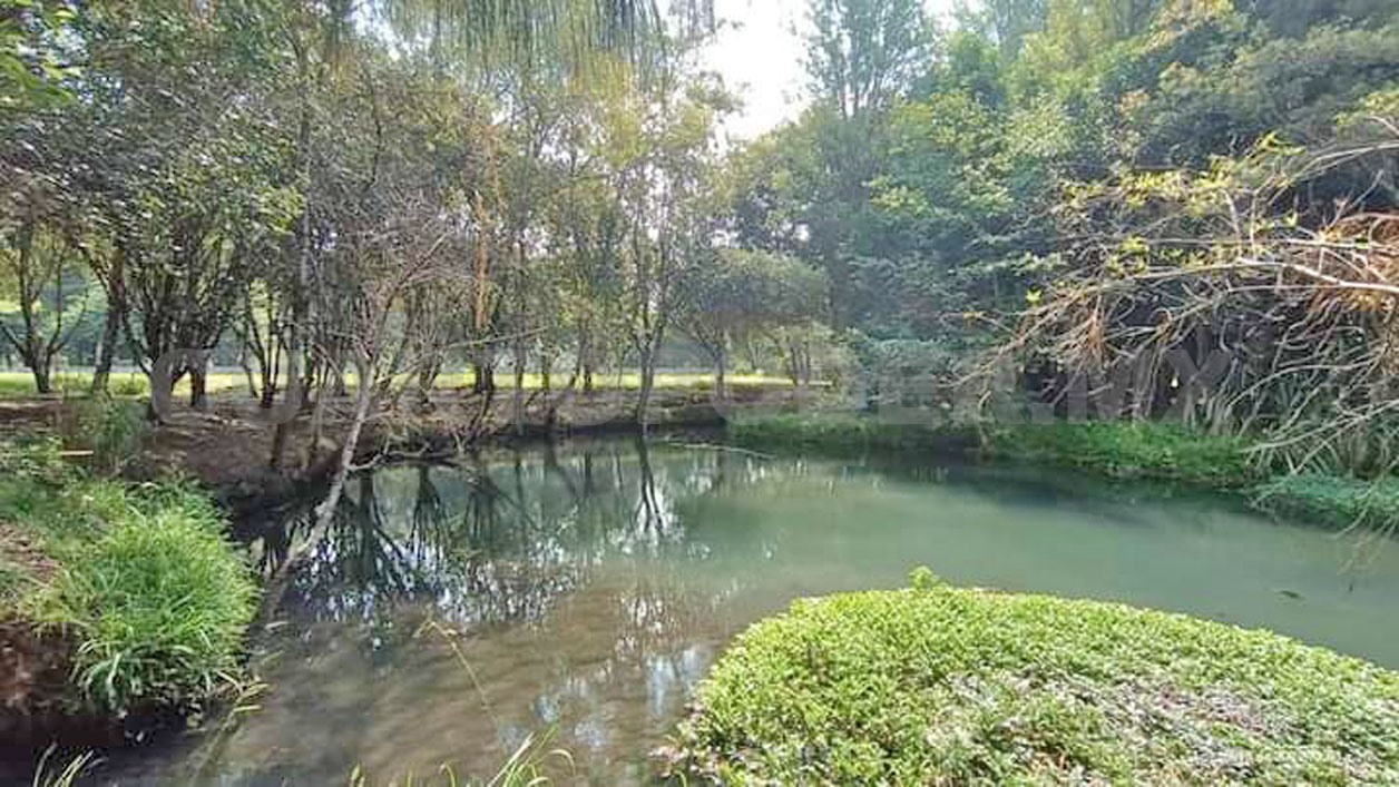 Alertan por deterioro de biodiversidad del país