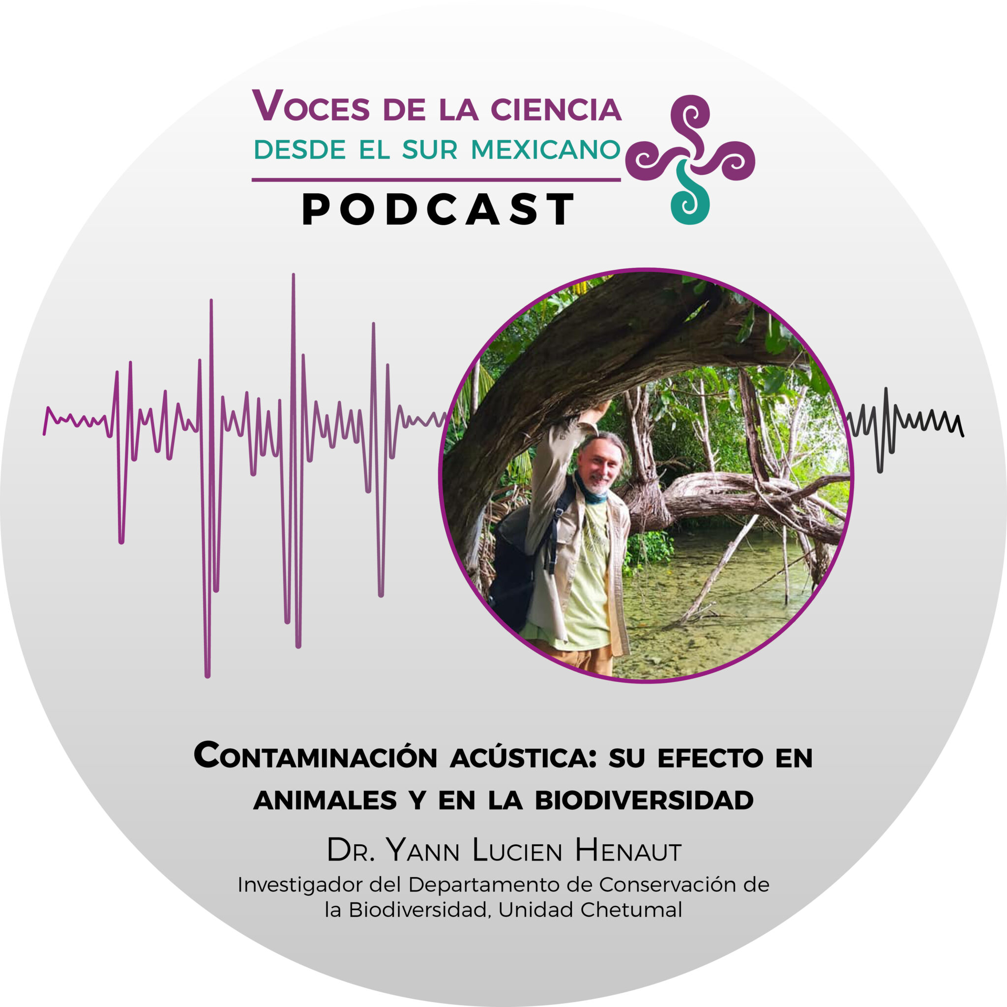 Contaminación acústica: Su efecto en animales y en la biodiversidad