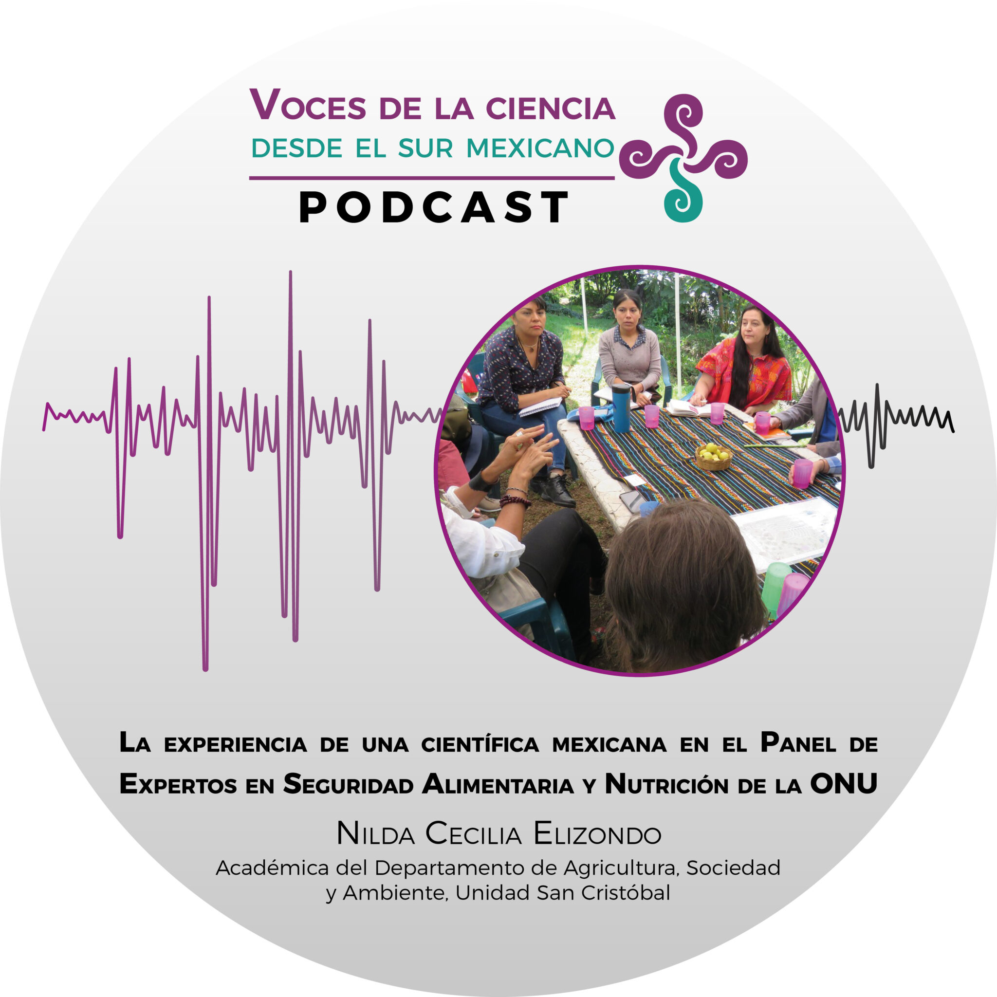 La experiencia de una científica mexicana en el Panel de Expertos en Seguridad Alimentaria y Nutrición de la ONU