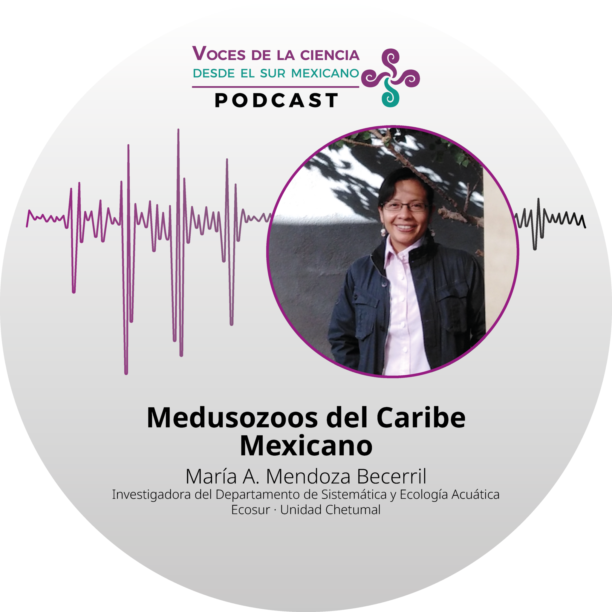 Medusozoos del Caribe Méxicano