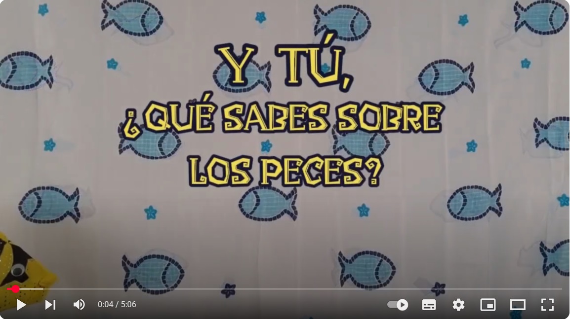 Y tu ¿qué sabes sobre los peces?