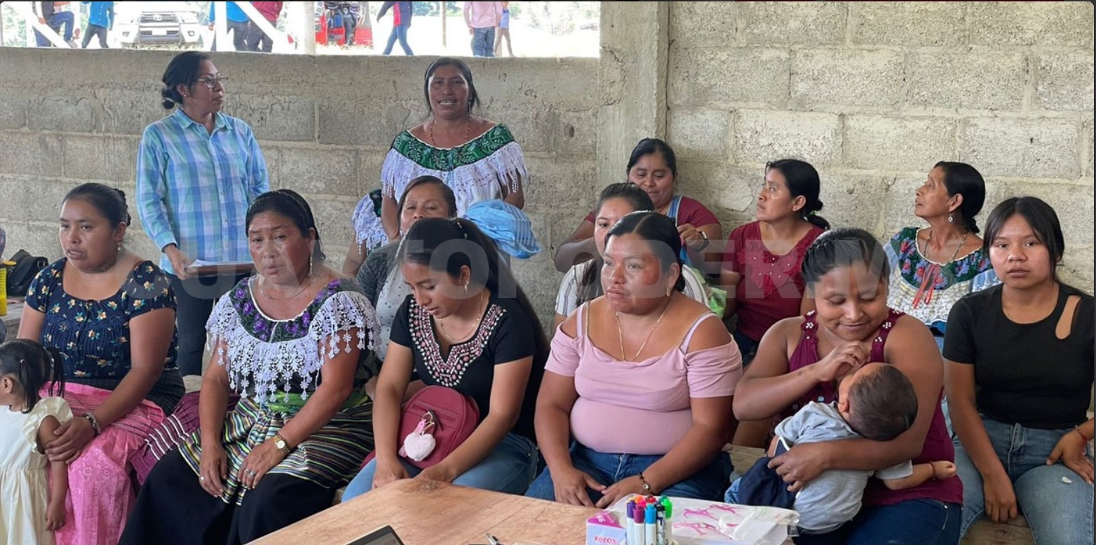 Encabezan nuevos modelos sostenibles