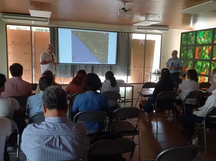 Salvan el mango Ataulfo