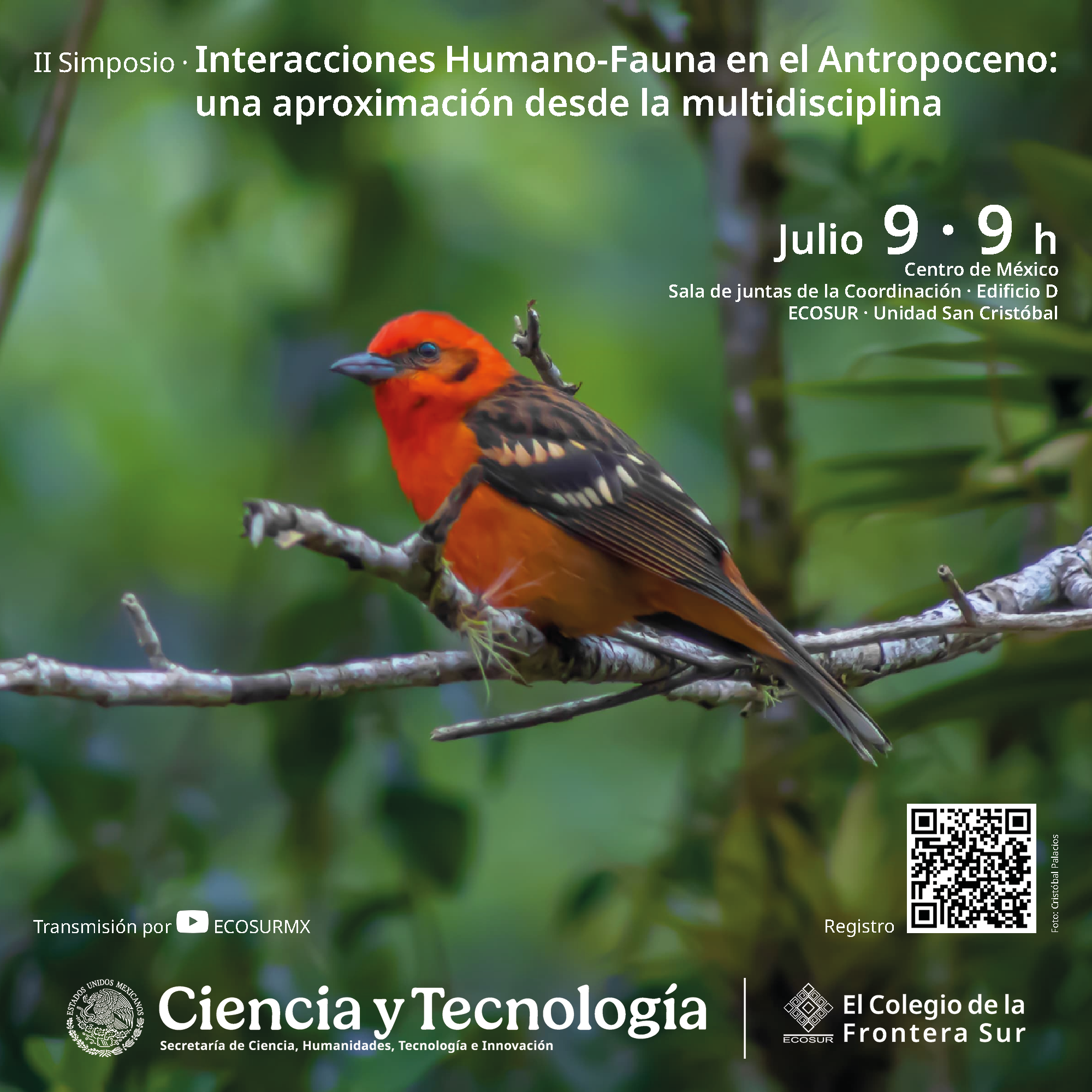 II Simposio de Interacciones Humano-Fauna en el Antropoceno